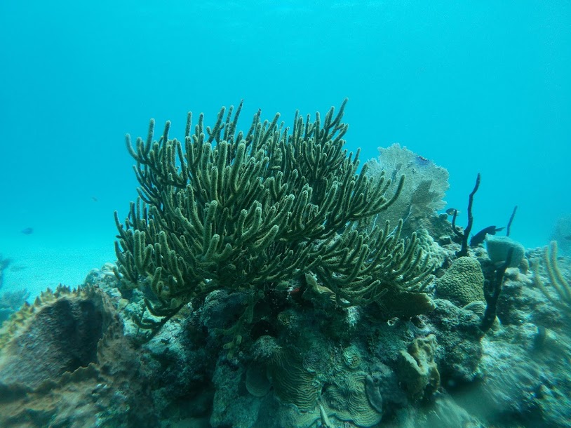 Park Reef, Punta Cana